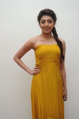 Pranitha at Alludu Seenu Audio Launch
